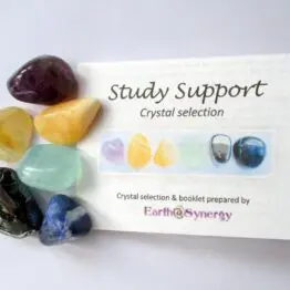 Study support