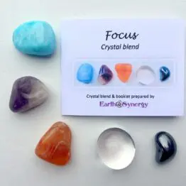 2019-07 Focus with booklet small