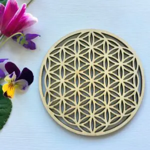 Flower of life coaster carved crystal grid