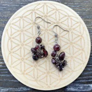 Garnet Cluster Earrings