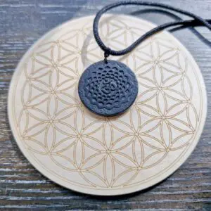 Shungite with Mandala OM