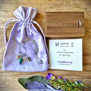 Gemini necklace package