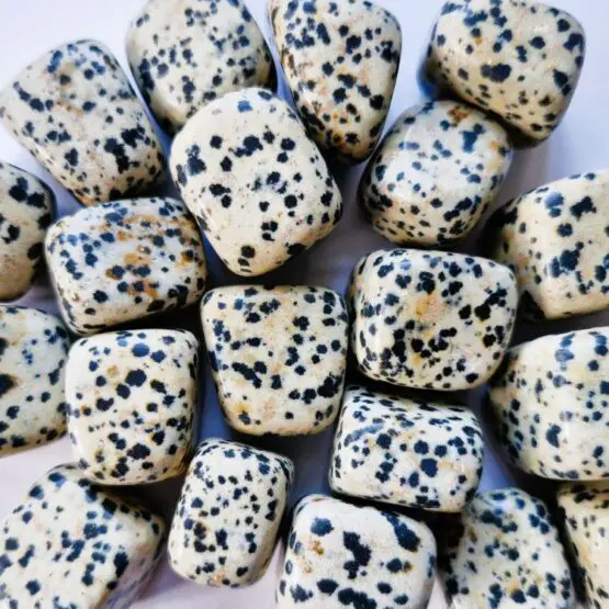 Dalmatian Jasper Tumble
