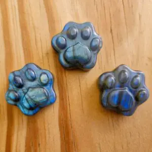 Labradoite Pawprints