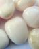 Aragonite Pink