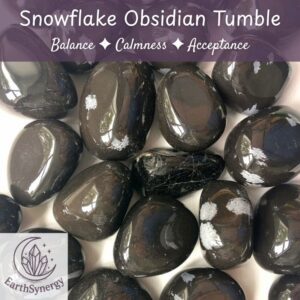 Snowflake Obsidian Crystal Tumble