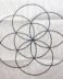 Seed of Life