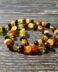 Multi-Coloured Baltic Amber Teething Necklace 32cm