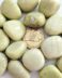 Chrysoprase Lemon Tumble