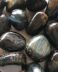 Tigers Eye Blue