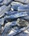 Kyanite shards
