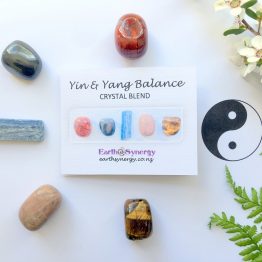 2019-10 Yin & Yang balance booklet small