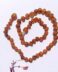 Raw Cognac Amber 38cm Teething Necklace