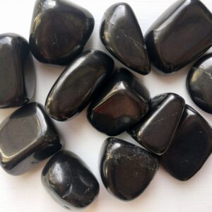 Shungite Large Tumble