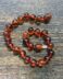 Cognac Amber Adult Bracelet