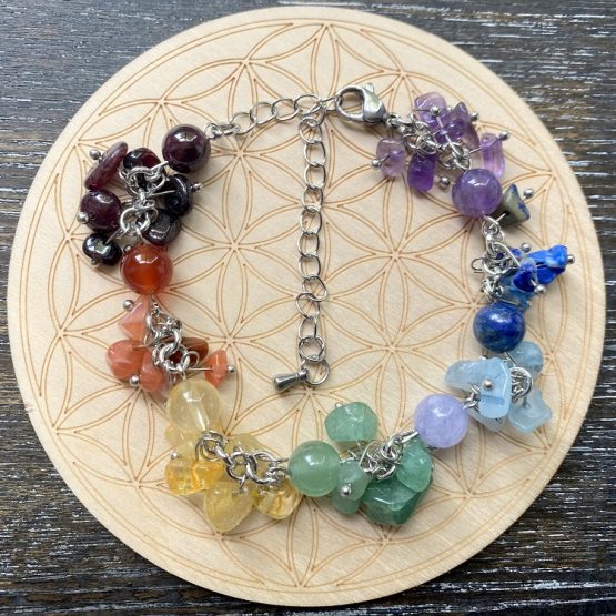 Chakra Cluster Bracelet - Parrot clasp