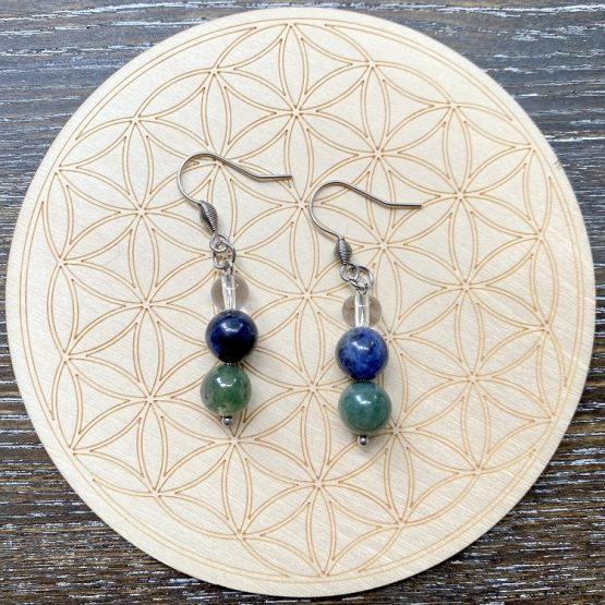 Immune system earrings
