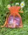 Orange Fairy Treasure bag
