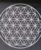 Flower of life grid on Black velvet