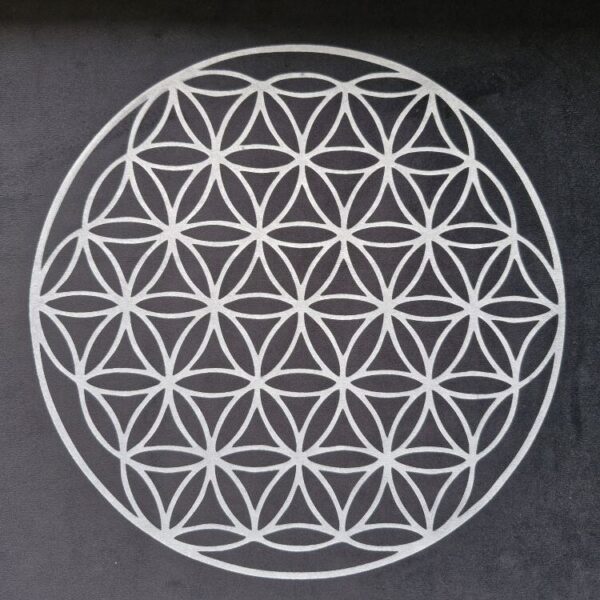 Flower of life grid on Black velvet