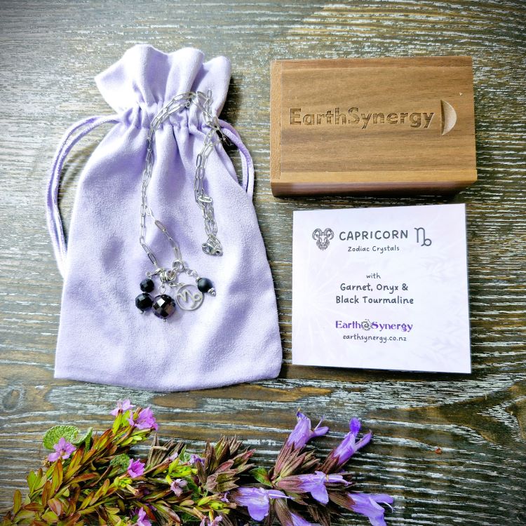 Capricorn necklace with packaging