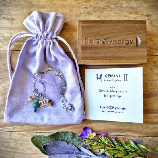 Gemini necklace package