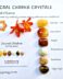Sacral Chakra crystal blend