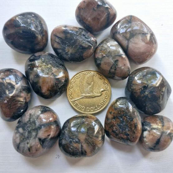 Chiastolite Tumble