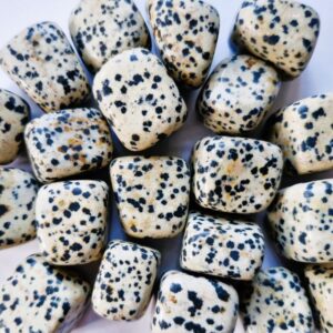 Dalmatian Jasper Tumble