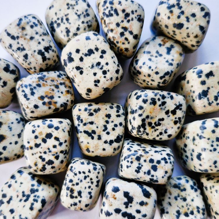 Dalmatian Jasper Tumble