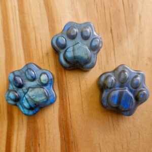 Labradoite Pawprints